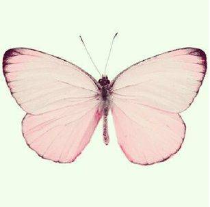 【単衣】薄ピンクに蝶々